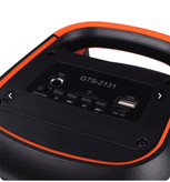 اسپیکر گریت نایس GTS2132